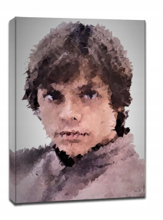 Polyamory - Luke Skywalker, Star Wars Star WA