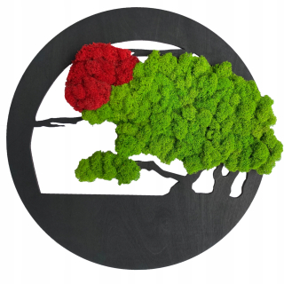 Darčekový strom života Obrázok Moss Living Image 50 cm