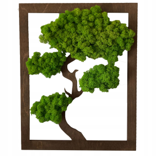 Darček živý obrázok strom bonsai strom života