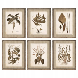 Obrázok DKD Domáce dekorácie Botanické rastliny (55 x 2,5