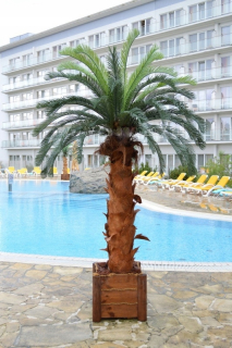 Palma Cycas 3m Tree Veľmi realistický vzhľad