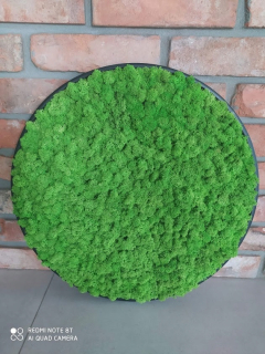 Okrúhly panel s chrobotka v kovovom ráme Fi 70c