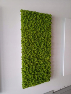 Scratch panel rozmeru