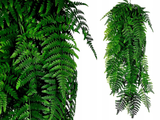 Veľká visiaca papraď zelená umelá prémiová dekorácia 100 cm