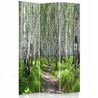 Feemy Screen Birch Forest 2 110 x 180 cm