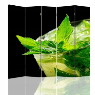 Feedy Screen Staning Mint 180x180 cm