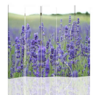 Feedy Screen Lavender Field 2 180x180 cm