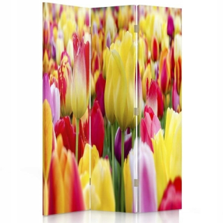 Color Tulipány na obrazovku 110x180