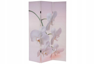 Obrazovka obrazovky 180x120cm Orchidea