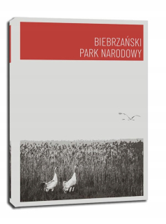 Národné parky, Biebbrza Red - maľba na plátne