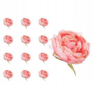 Pivon Pink Peach Head x12 Produktové kytice