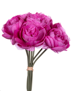 Pivon Pink Purple Bytica pre vázu
