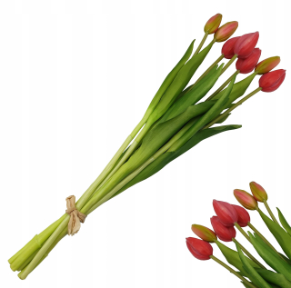 Krásna guma tulipány koralové púčiky ako živý