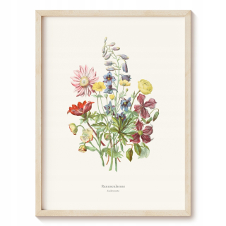 Botanický záhradný plagát - rastliny glaukómu, umenie bez rámu 59,5 x 84 cm