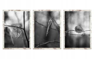 Rám pre jednu fotografiu artopoint 64 x 133 cm
