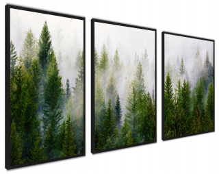 Plagáty plagátov s rámami nastavené lesná hmlová krajina, rastliny v rámci 127 x 51 cm