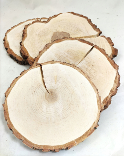 Plátky suchého brezy 32-34 cm (rez)