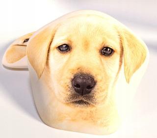 Labradorský vankúš 30 x 29 cm