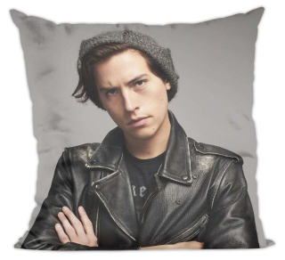 Vankúš - Vankúš Riverdale Jughead