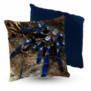 Vankúš - Vankúš Verlor Spider Metallica 5Made 40x40 cm