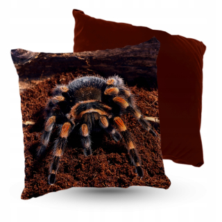 Vankúš - Vankúš Verlor Spider Brachypelma 5Made 40x40 cm