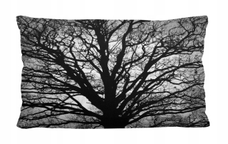 Bertoni Cushion 50 x 30 cm