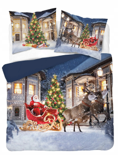 Posteľné obliečky - Sada podstielky Detexpol 3899 Holandská mládež 220 x 200 cm viacfarebná