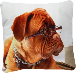 Obliečka na vankúš - Dekoratívny vankúš 40x40 Dog Boxer Dog