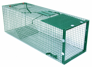 Pasca na líšky, vydry, veľké jazvece veľké