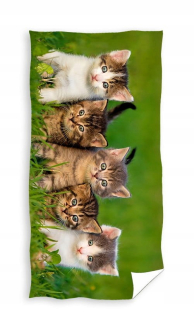 Cotton World Beach Towel 180 cm mikrovlákna