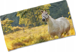 Gadget Master Beach Towel 160 cm mikrovlákno