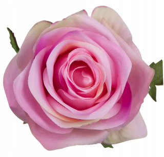 Produkt Rose Pink Fuchsia 12 PCS Kvetinová hlava