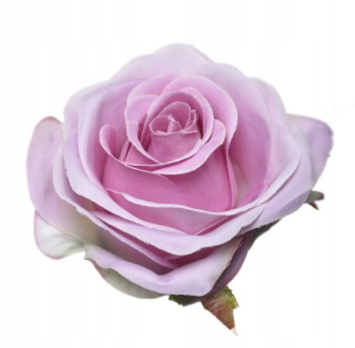 Kvetinová hlava ruží Rose Roses 8 cm 12 ks.
