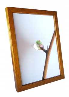 Fotorálny rámec 25x25 IZA rámový rám pre blízkych