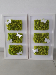 Rám s poškriabaním 27x50cm
