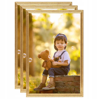 VidaXL jednoduchý fotorámik 25 x 70 cm