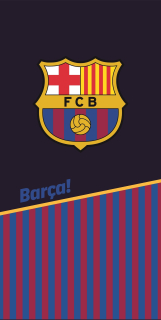 Plážová osuška Carbotex 140 cm x 70 cm FCB192019