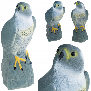 Falcon Big Pigeon Starbon Bird distruum Distruper 40 cm