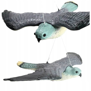 Falcon Bird Repeller Pigeon Birds Birds xxl