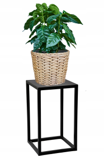 Stojan na kvety - stand Flower. Záhon. Metal loft