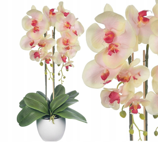 Silikónová orchideí Umelé silikónové orchidey