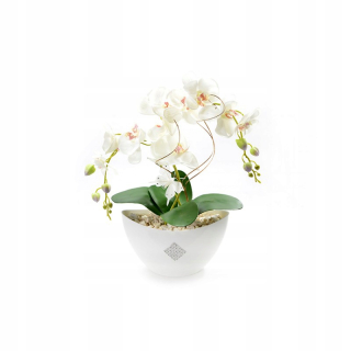 Orchideové umelé zloženie kvetinová loď biela