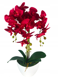 Orchid Umelé kvety orchidea červený 60cm