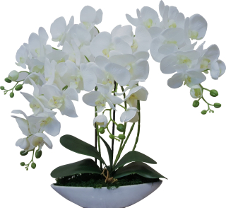 UMELÉ ORCHIDY UMELÉ KVETY SB4PŁ