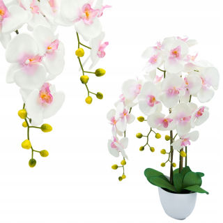 Orchidey umelé pergola kvet orchidey kvetináči