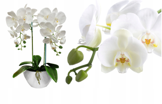 Orchidea Umelá orchidea orchidea kvetina 65 cm