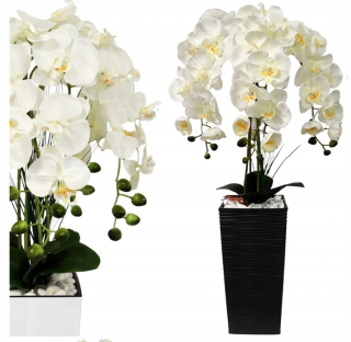 Orchidea Umelá orchidea Orchid Kvetina Farby
