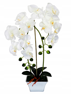 Orchidea Umelá orchidea kvetina orchidea 02nor