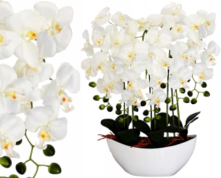 Orchidná umelá orchidea kvetina orchidea