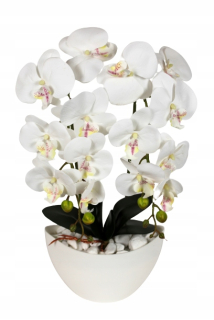Orchidey umelé orchidey orchideové kvety kvety
